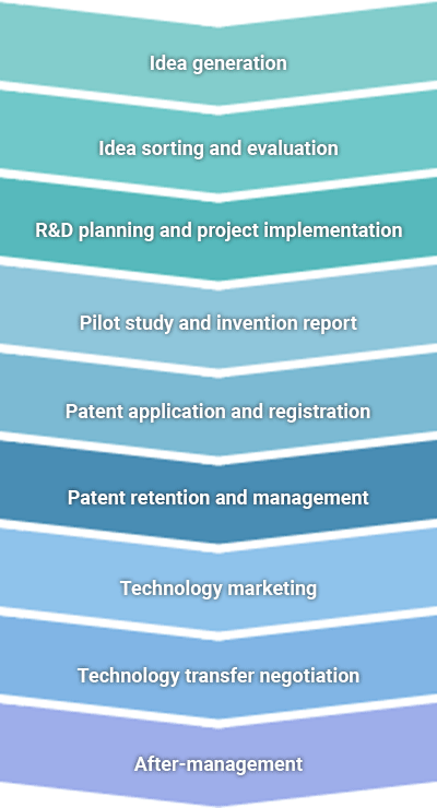 1단계 아이디어창출, 2단계 아이디어분류/평가, 3단계 R&D기획/수행과제, 4단계 선행조사/발명신고, 5단계 특허출원/등록, 6단계 특허유지관리, 7단계 기술마케팅, 8단계 기술이전협상, 9단계 사후관리